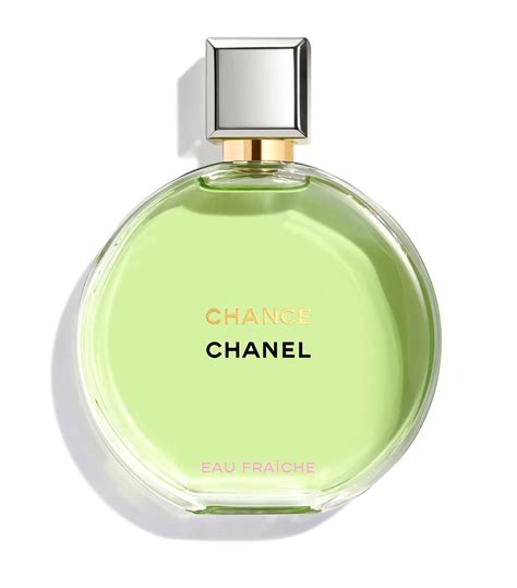 chance chanel girls|chanel chance cheapest.